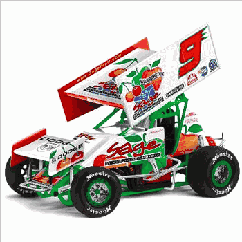 kasey-kahne-2006-sage-fruit-