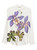 Pierre Louis Mascia Shirts White LP-ALOEBIO/S-CML10643101516351-AI25