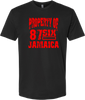 Reggae Jerk Brand - Property of 87SIX Crew Unisex Tee Black Red Front