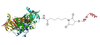 Chemical structure of Ova peptide conjugates generated using CM52418 PerKit™ Ova-Peptide Conjugation Kit.