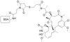 Chemical structure of BSA-DM1 (Mertansine) Conjugate
