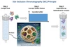 SEC HPLC Analysis of Biopolymer, Conjugate, and ADC