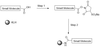 Reaction chemistry/scheme for generating KLH Small Molecule Acid Conjugates using using CM52426 PerKit™ KLH Universal Small Molecule Acid Conjugation Kit