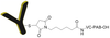 CM11429 Control Antibody-VC-PAB conjugate chemical structure