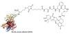 CM52140: BSA-Deruxtecan Conjugate