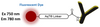 AqT® Fluor 750 labeled Antibody via Surface Amines
