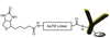 AqT® biotin labeled Antibody-Drug Conjugate (ADC) via Surface Amines