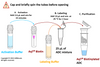 Workflow for Preparing AqT® Biotinylated ADC (100 microgram scale reaction) within 1 Hour