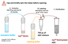Workflow for Preparing AqT® Biotinylated ADC (3 mg scale reaction) within 1 Hour