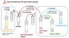 Workflow for preparing AqT® biotinylated protein (20 nmol scale reaction)