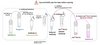 Workflow for Preparing AqT® Antibody Biotinylation (3 mg scale reaction) within 2 Hours