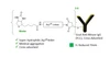 CM86157 AqT® Biotin Anti-Mouse IgG (H+L), Cross-Adsorbed Chemical Structure
