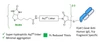 Chemical Structure of CM86152 AqT® biotinylated goat anti-human IgG, F(ab')2 specific