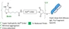 Chemical Structure_CM86155
