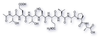 Structure of Rhodopsin Nonapeptide (C1'-C9')