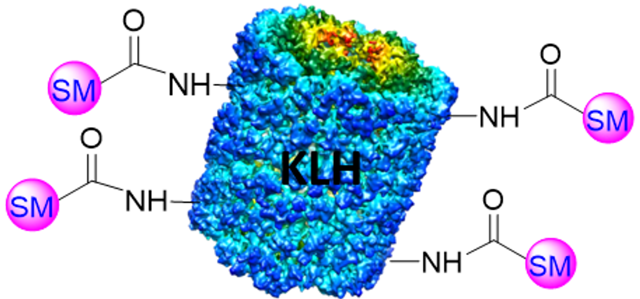 Chemical structure of KLH Small Acid Conjugates generated using PerKit™ KLH Small Molecule Acid Conjugation Kit