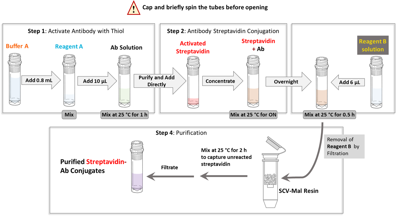 Workflow for Preparing streptavidin-antibody conjugates used in CM52420 PerKit™ Streptavidin Antibody Conjugation Kit.