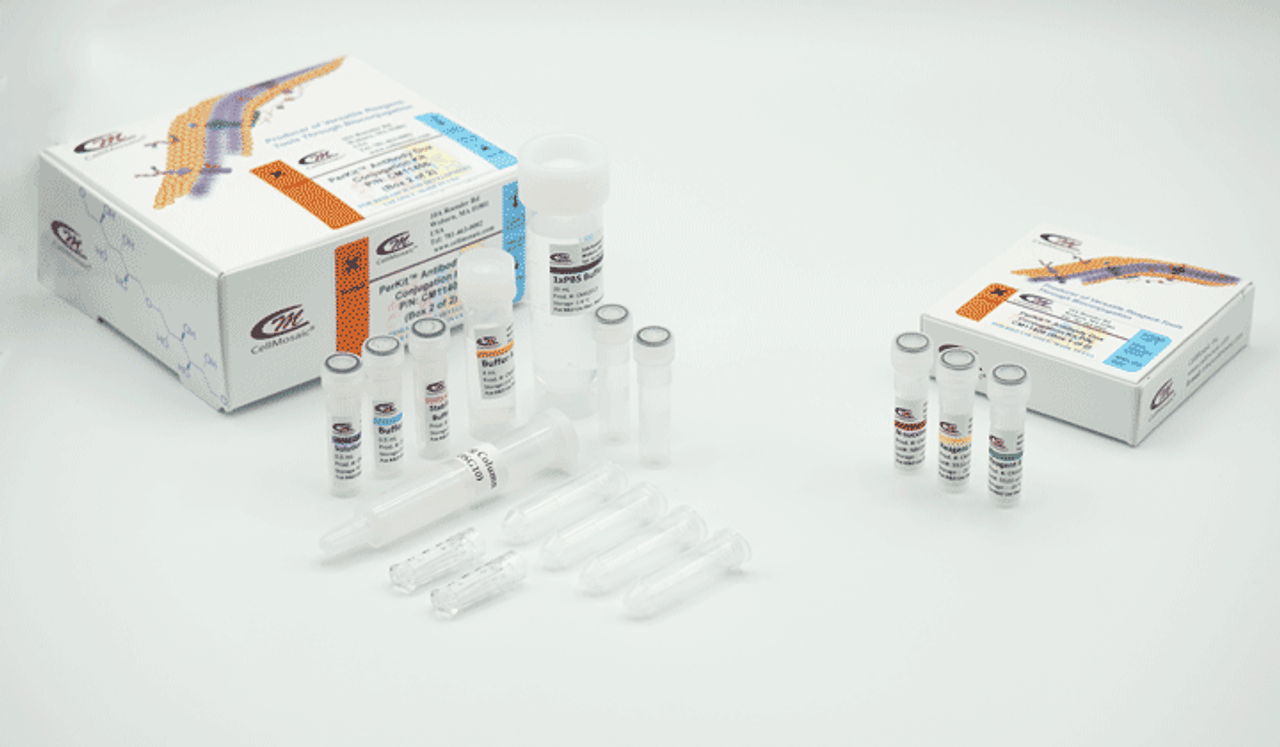 Antibody Doxorubicin Conjugation Kit Boxes and Content