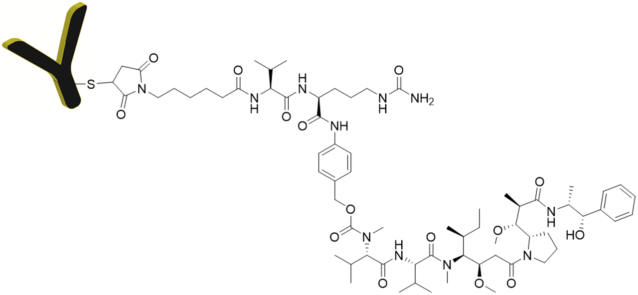 Chemical Structure of Antibody-VC-PAB-MMAE Conjugate