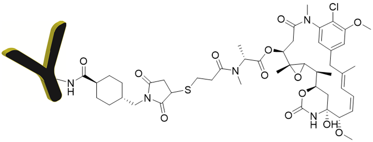 CM11410: Antibody Mertansine (DM1) Conjugate Chemical Structure