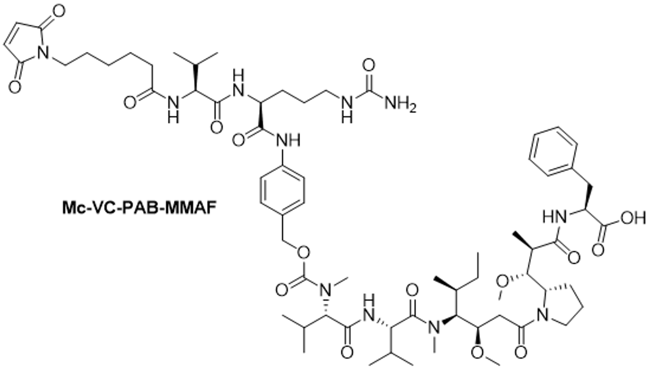 Chemical structure of Mc-VC-PAB MMAF