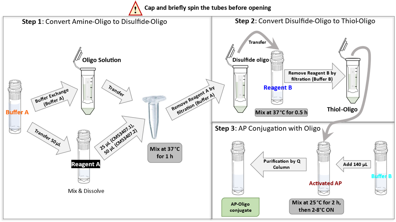 AP oligo conjugation kit protocol schematic diagram from CM53403  PerKit™ AP Oligo Conjugation Kit (Single Label with Amine Oligo)