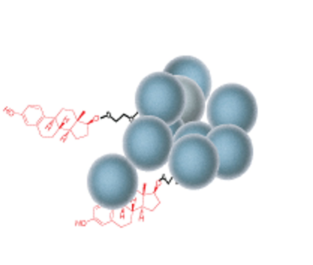 Small molecules immobilized onto agarose beads