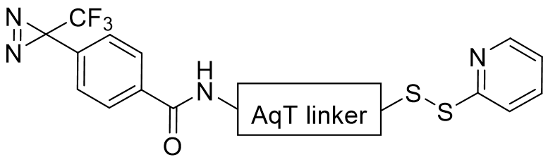 Chemical structure of CM81401 Phenyldiazirine sxLink™