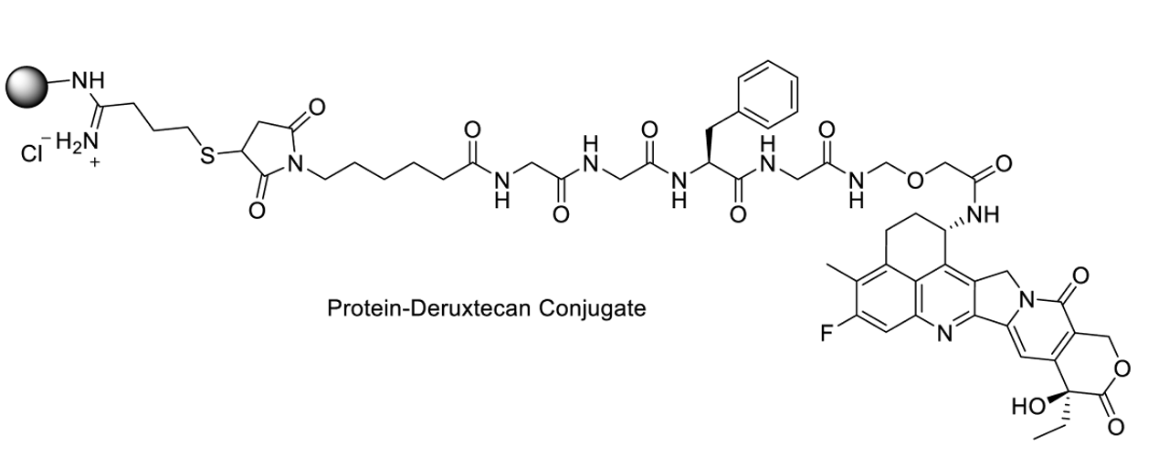 Chemical structure of protein derucxtecan conjugate made using CM11432 PerKit™ Protein Deruxtecan Conjugation Kit.