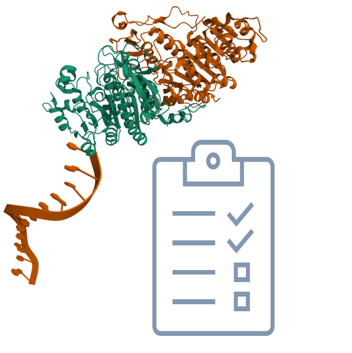 Routine AP-Oligo Conjugation Single Labeling