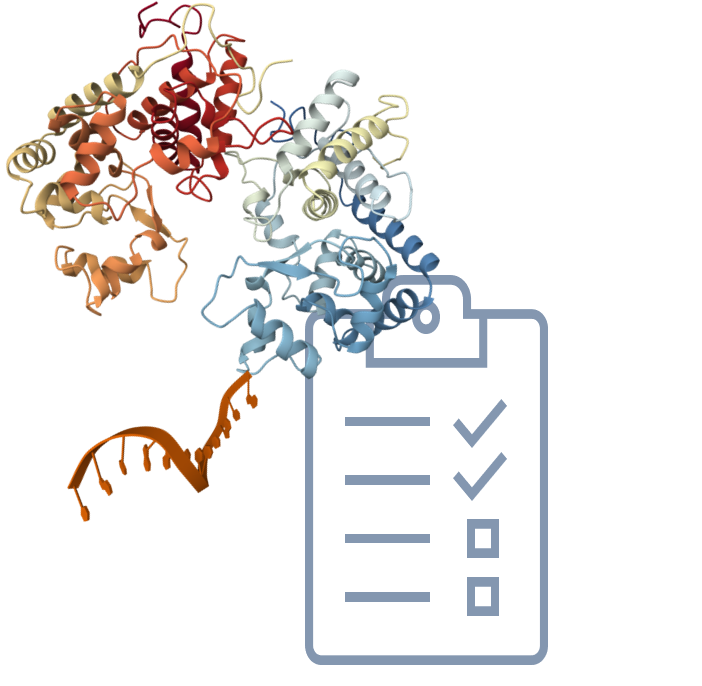 Routine HRP-Oligo Conjugation Single Labeling