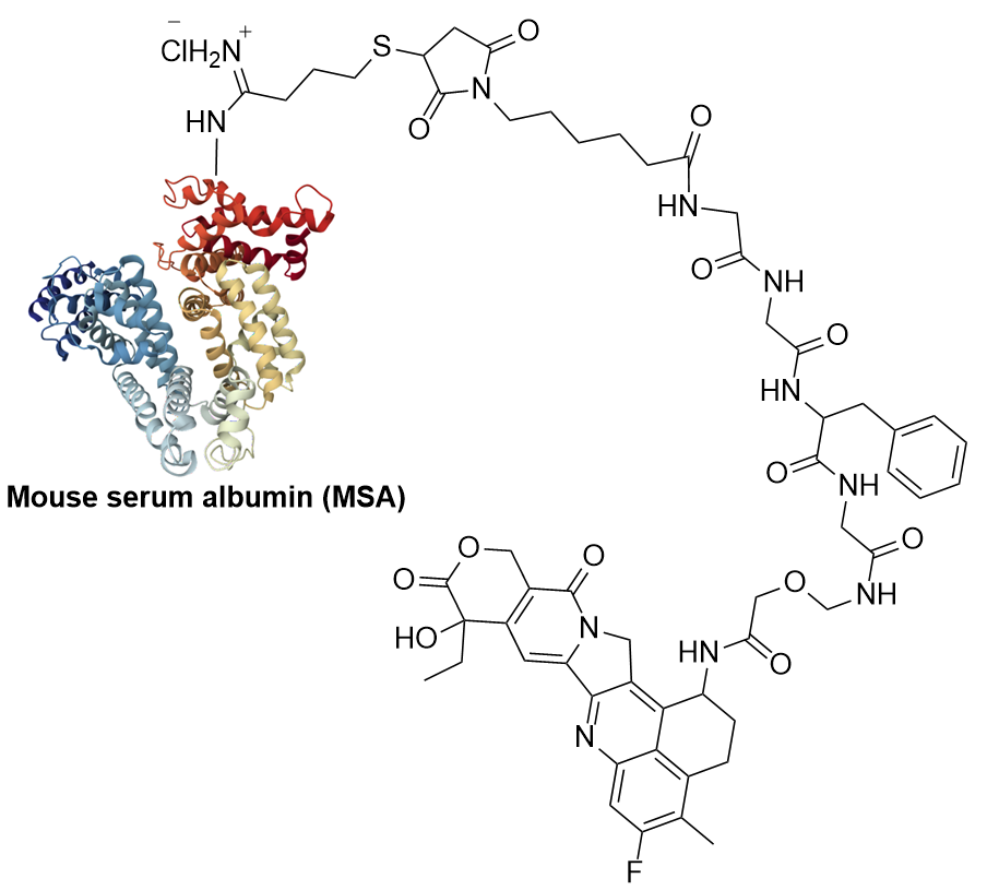 MSA-Deruxtecan Structure