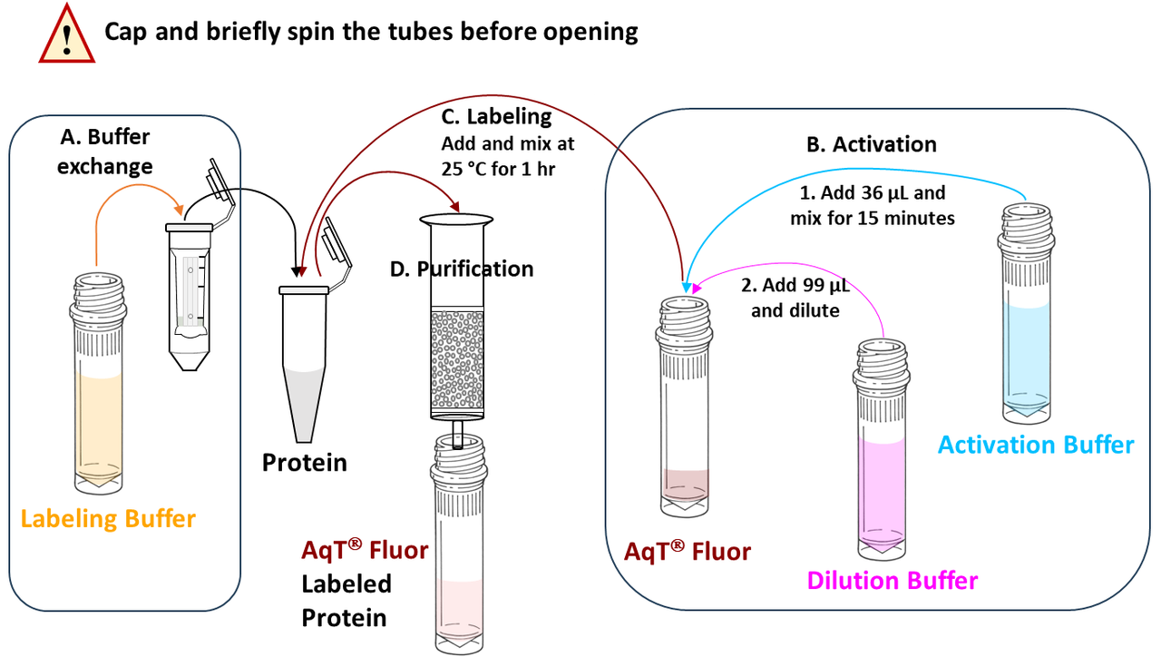 Workflow for preparing AqT® Fluor 750 labeled protein (20 nmol scale reaction)