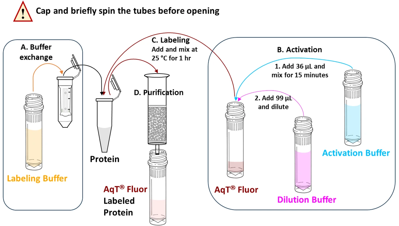 Workflow for preparing AqT® Fluor 750 labeled protein (20 nmol scale reaction)