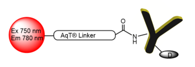 AqT® Fluor 750 labeled Antibody-Drug Conjugate (ADC) via Surface Amines