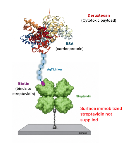 Streptavidin binding to CM86171 AqT® biotinylated BSA–Deruxtecan conjugate