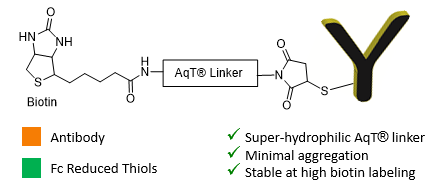AqT® Biotin Site-Specific Labeled Antibody via Reduced Thiols