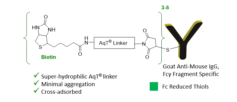 CM86156 AqT® Biotin Goat Anti-Mouse IgG, Fcγ Fragment Specific, Cross-Adsorbed Chemical Structure