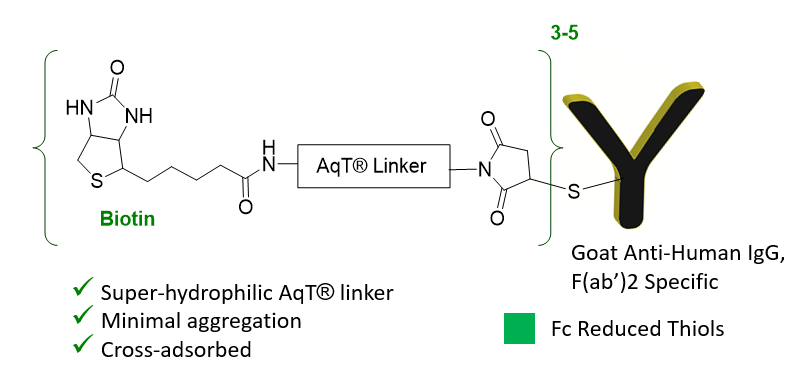 Chemical Structure of CM86152 AqT® biotinylated goat anti-human IgG, F(ab')2 specific