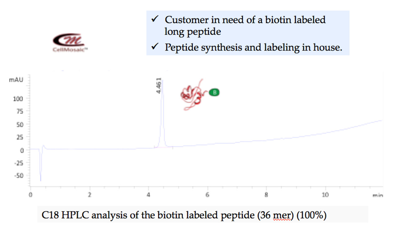 Example 1: Biotinylation of a peptide (>99.9% purity by HPLC for a single labeled product)