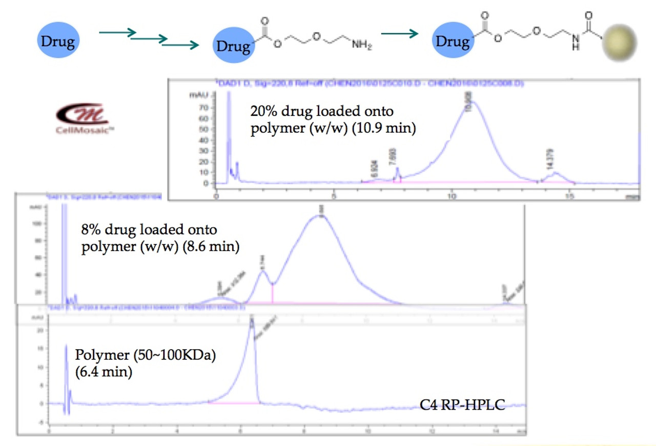 Example 1: Loading hydrophobic drugs onto a hydrophilic polymer