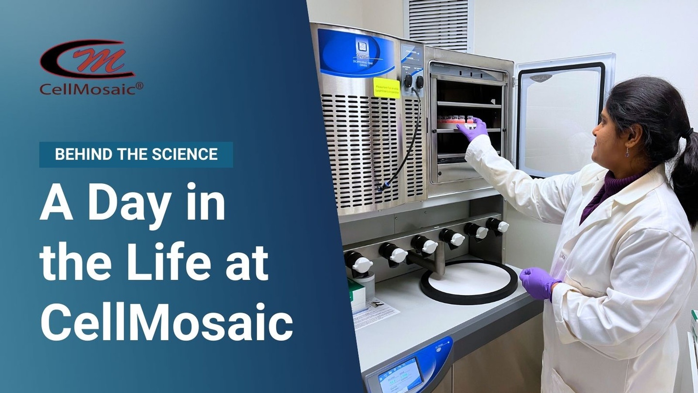 CellMosaic: A Day in the Life at the Lab