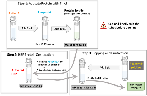 Reaction Scheme/workflow for generating HRP-Protein conjugates using CM52421 PerKitâ„¢ HRP-Protein Conjugation Kit (HMW)