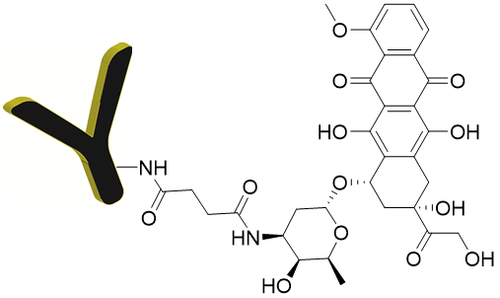 Chemical Structure of Antibody Doxorubicin Conjugate Chemical Structure of Antibody Doxorubicin Conjugate