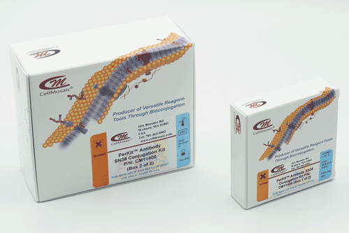 Antibody SN38 Conjugation Kit Boxes