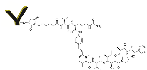 CM11416 F(ab')2 MMAE conjugate chemical structure. CM11416 F(ab')2 MMAE conjugate chemical structure.