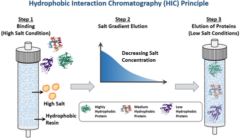 Hydrophobic Interaction Chromatography (HIC) Buffer Set