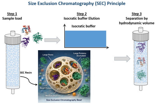 SEC HPLC Analysis of Biopolymer, Conjugate, and ADC