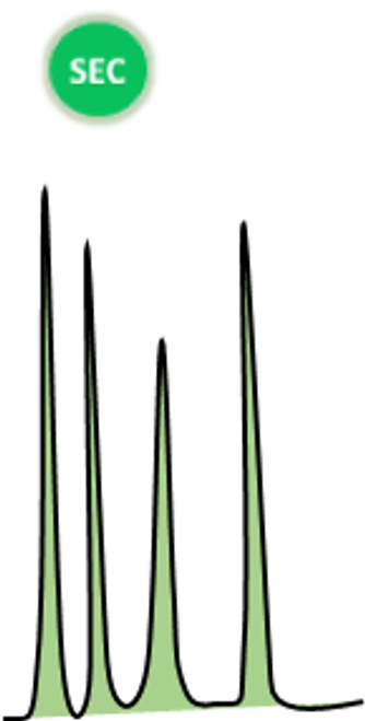 Image: Stylized SEC HPLC profile of Biopolymer Image: Stylized SEC HPLC profile of Biopolymer