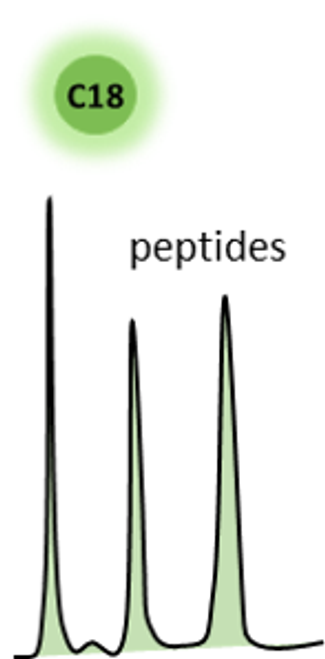 Stylized C18 HPLC profile of peptide and conjugate Stylized C18 HPLC profile of peptide and conjugate